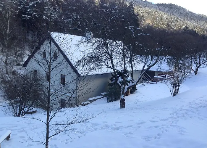 Apartament Hajovna